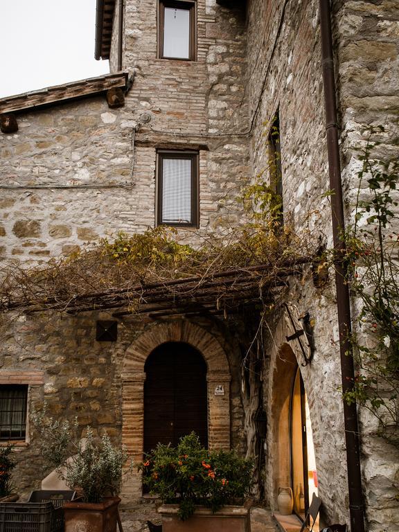 Torre Valbiancara Pensjonat Montebagnolo Zewnętrze zdjęcie